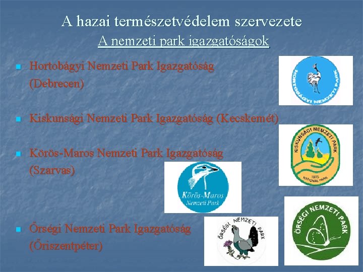 A hazai természetvédelem szervezete A nemzeti park igazgatóságok n Hortobágyi Nemzeti Park Igazgatóság (Debrecen)