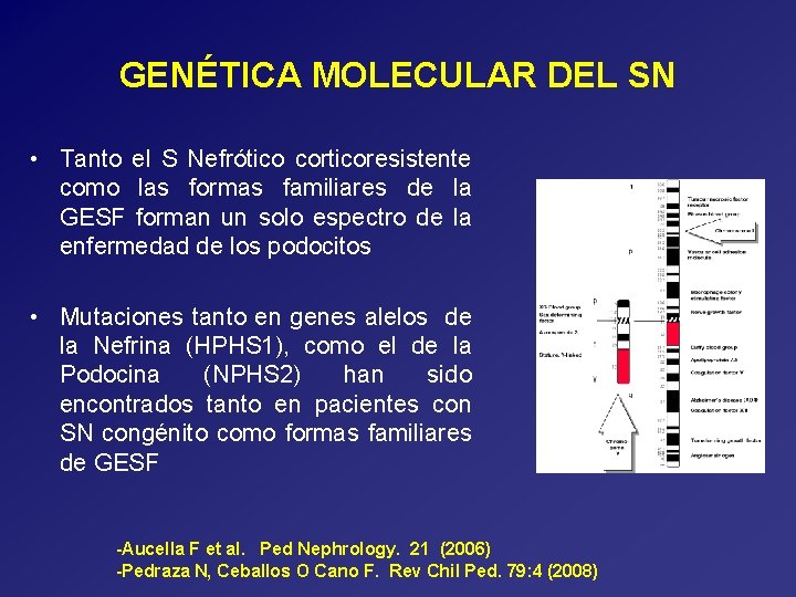 GENÉTICA MOLECULAR DEL SN • Tanto el S Nefrótico corticoresistente como las formas familiares