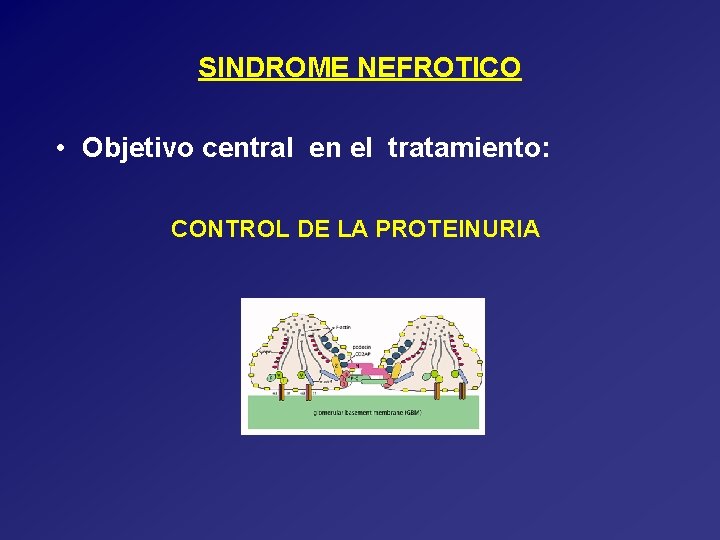 SINDROME NEFROTICO • Objetivo central en el tratamiento: CONTROL DE LA PROTEINURIA 