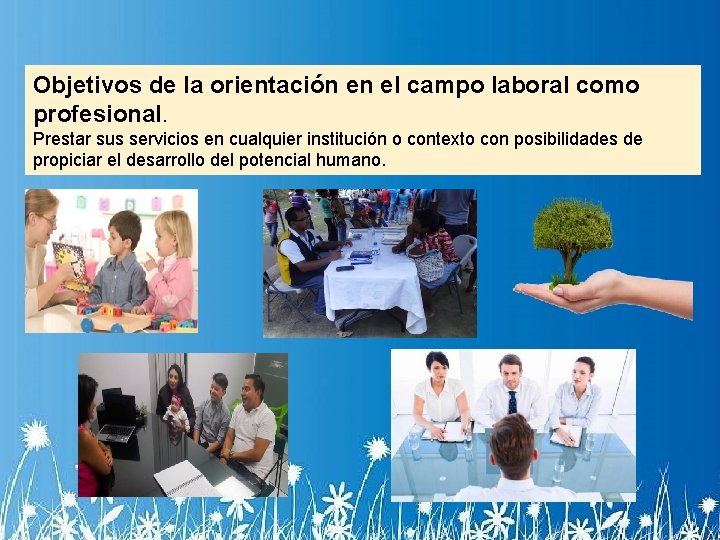 Objetivos de la orientación en el campo laboral como profesional. Prestar sus servicios en