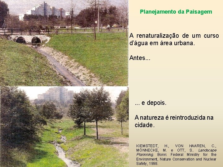 Planejamento da Paisagem A renaturalização de um curso d’água em área urbana. Antes. .