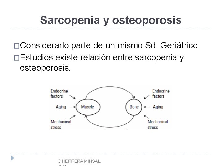 Sarcopenia y osteoporosis �Considerarlo parte de un mismo Sd. Geriátrico. �Estudios existe relación entre