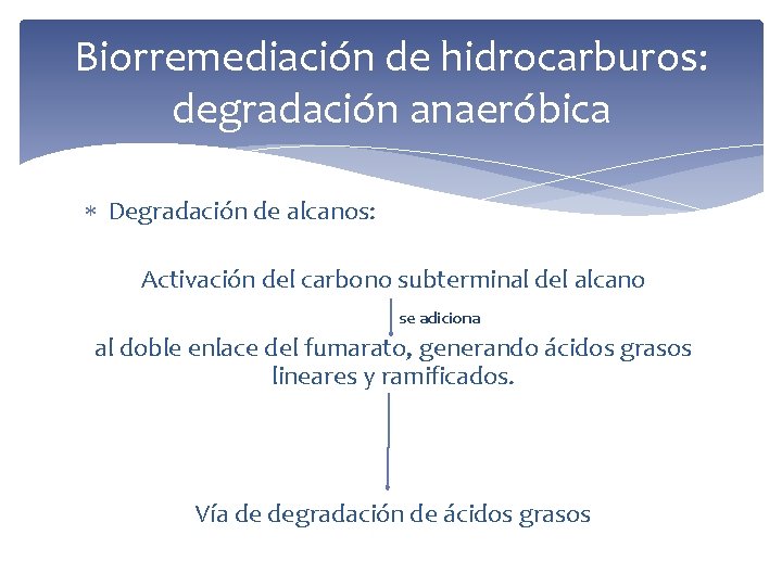 Biorremediación de hidrocarburos: degradación anaeróbica Degradación de alcanos: Activación del carbono subterminal del alcano
