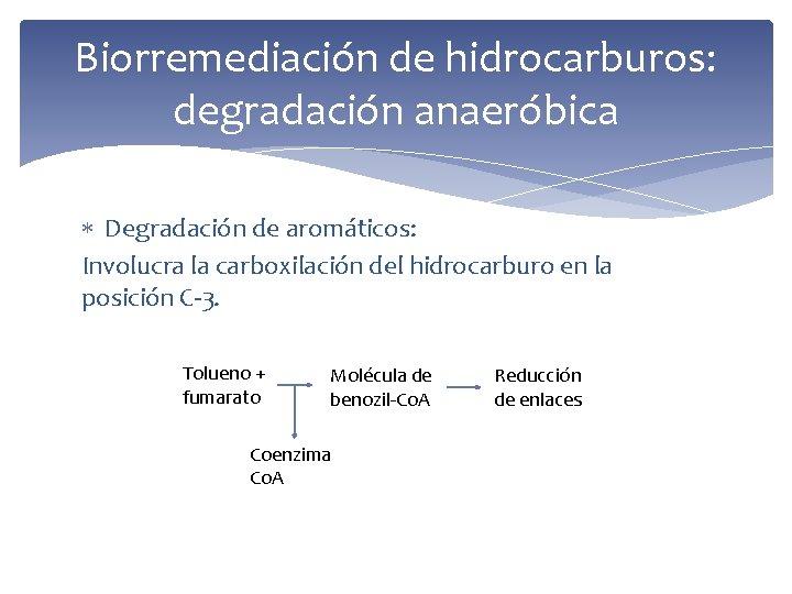Biorremediación de hidrocarburos: degradación anaeróbica Degradación de aromáticos: Involucra la carboxilación del hidrocarburo en