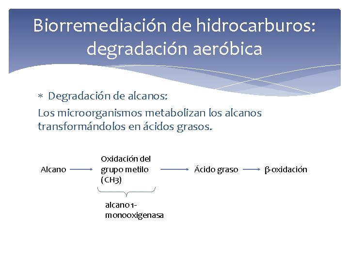 Biorremediación de hidrocarburos: degradación aeróbica Degradación de alcanos: Los microorganismos metabolizan los alcanos transformándolos