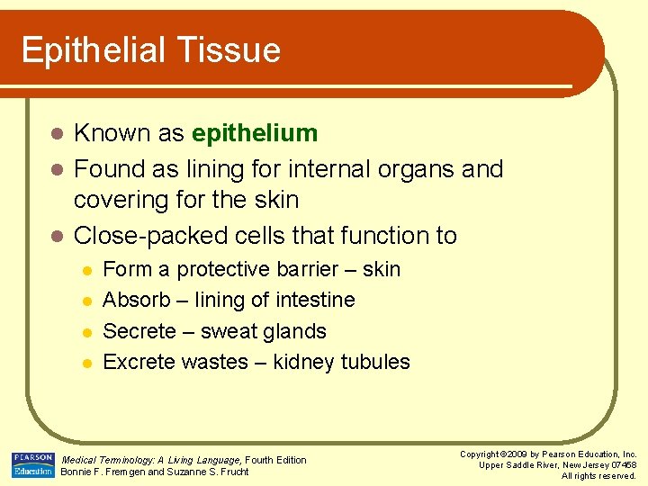 Epithelial Tissue Known as epithelium l Found as lining for internal organs and covering