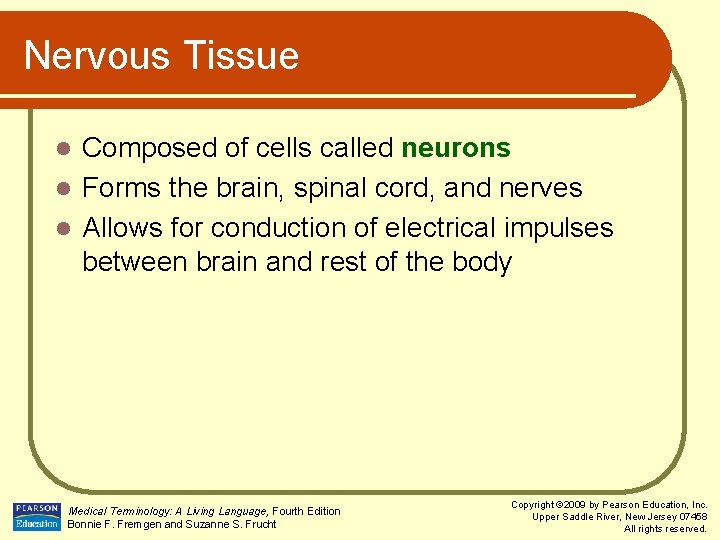 Nervous Tissue Composed of cells called neurons l Forms the brain, spinal cord, and