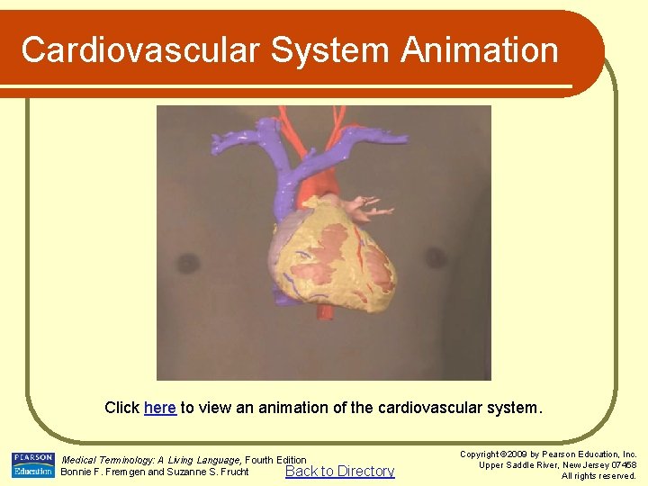 Cardiovascular System Animation Click here to view an animation of the cardiovascular system. Medical
