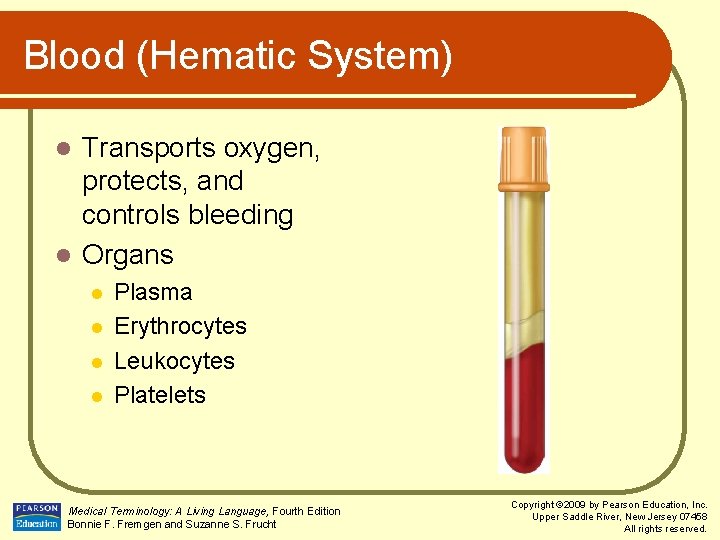 Blood (Hematic System) Transports oxygen, protects, and controls bleeding l Organs l l l