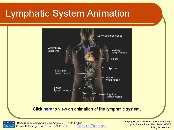 Lymphatic System Animation Click here to view an animation of the lymphatic system. Medical