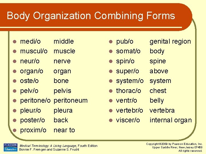 Body Organization Combining Forms l l l l l medi/o muscul/o neur/o organ/o oste/o