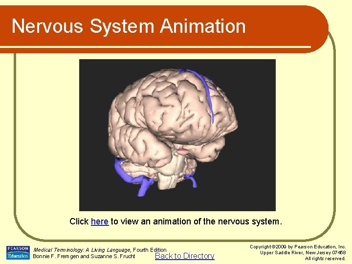 Nervous System Animation Click here to view an animation of the nervous system. Medical