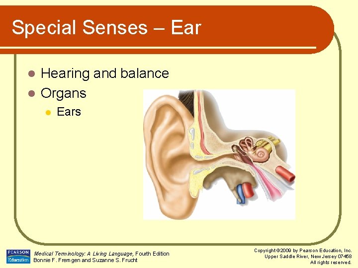 Special Senses – Ear Hearing and balance l Organs l l Ears Medical Terminology:
