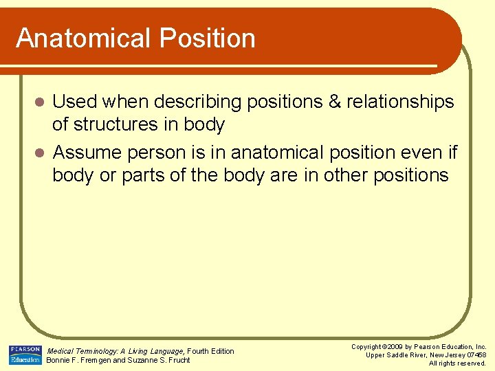 Anatomical Position Used when describing positions & relationships of structures in body l Assume