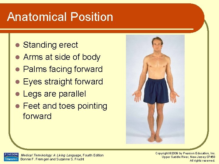 Anatomical Position l l l Standing erect Arms at side of body Palms facing