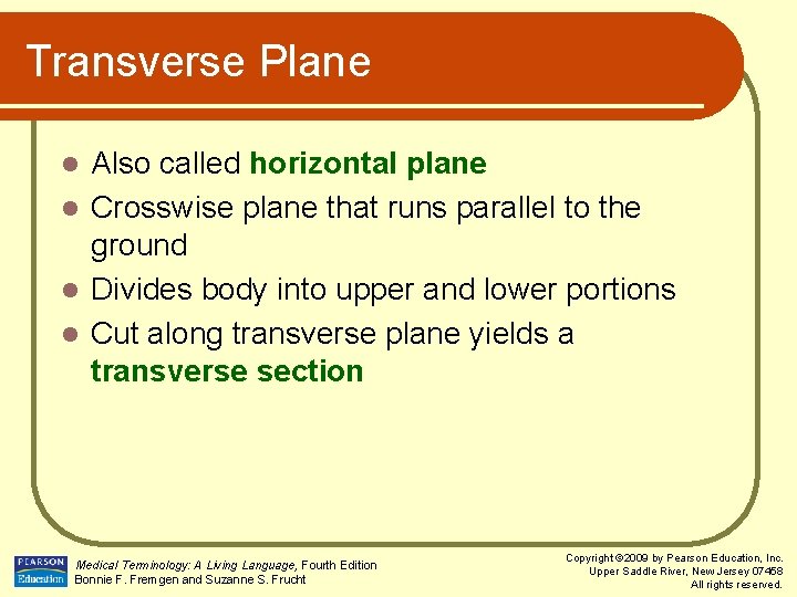 Transverse Plane Also called horizontal plane l Crosswise plane that runs parallel to the