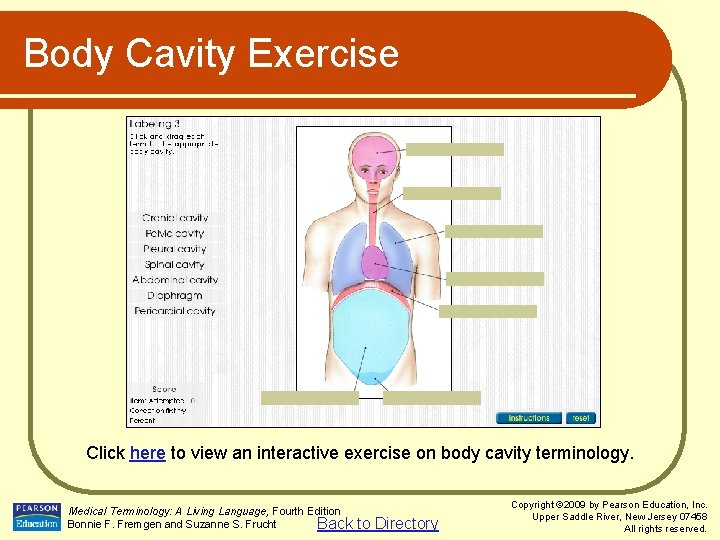 Body Cavity Exercise Click here to view an interactive exercise on body cavity terminology.