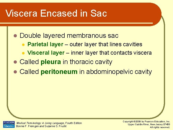 Viscera Encased in Sac l Double layered membranous sac l l Parietal layer –