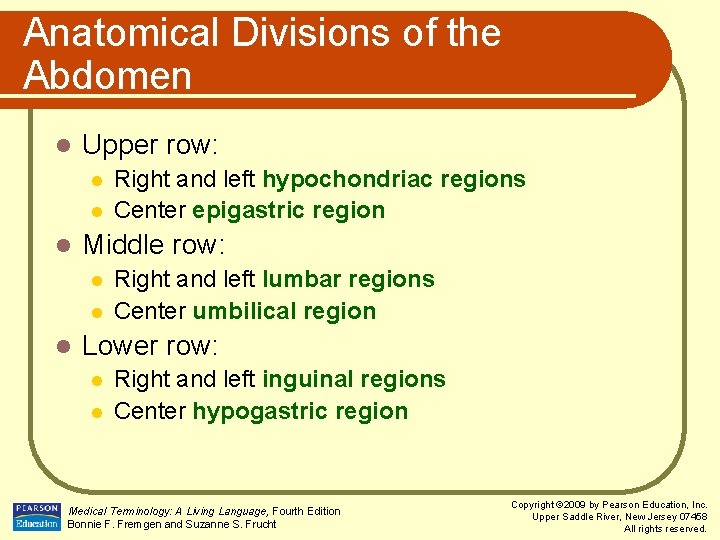 Anatomical Divisions of the Abdomen l Upper row: l l l Middle row: l