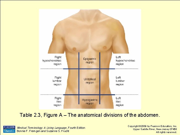Table 2. 3, Figure A – The anatomical divisions of the abdomen. Medical Terminology: