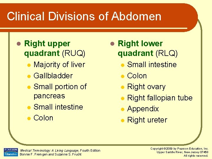 Clinical Divisions of Abdomen l Right upper quadrant (RUQ) l l l Majority of