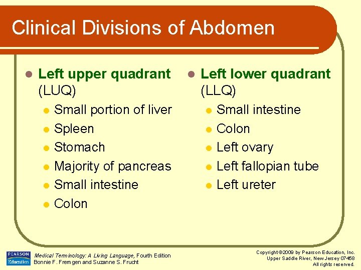 Clinical Divisions of Abdomen l Left upper quadrant (LUQ) l l l Small portion