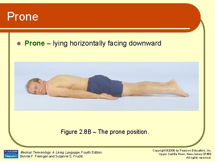 Prone l Prone – lying horizontally facing downward Figure 2. 8 B – The