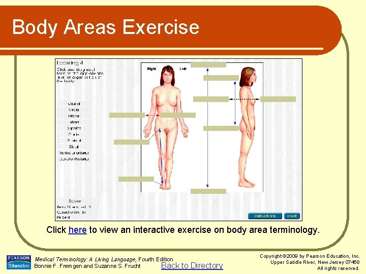 Body Areas Exercise Click here to view an interactive exercise on body area terminology.