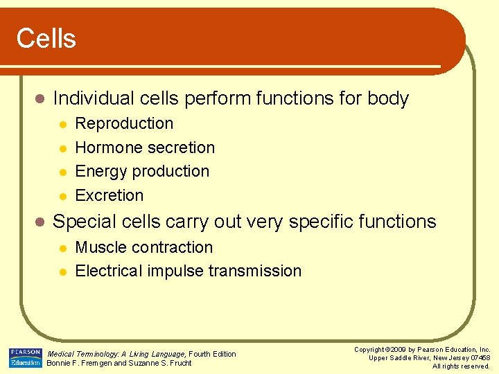 Cells l Individual cells perform functions for body l l l Reproduction Hormone secretion