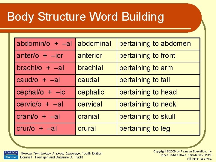Body Structure Word Building abdomin/o + –al abdominal pertaining to abdomen anter/o + –ior