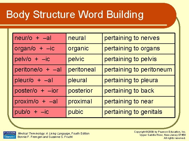 Body Structure Word Building neur/o + –al neural pertaining to nerves organ/o + –ic