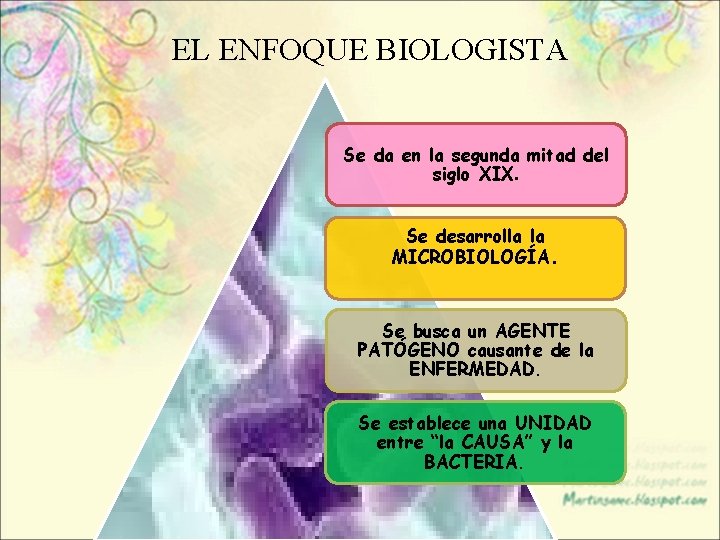 EL ENFOQUE BIOLOGISTA Se da en la segunda mitad del siglo XIX. Se desarrolla