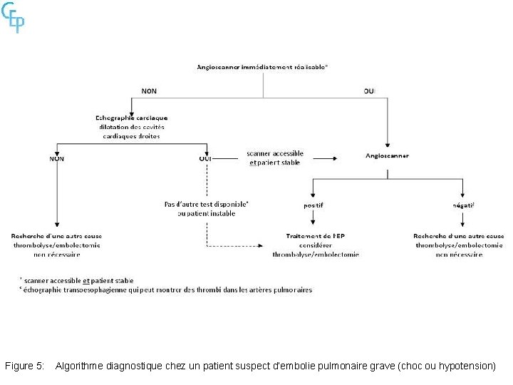 Figure 5: Algorithme diagnostique chez un patient suspect d’embolie pulmonaire grave (choc ou hypotension)