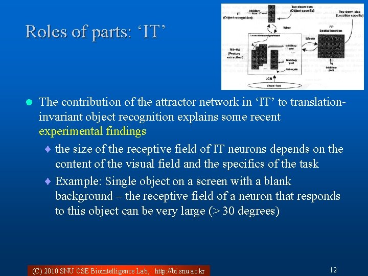 Roles of parts: ‘IT’ l The contribution of the attractor network in ‘IT’ to