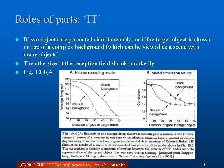 Roles of parts: ‘IT’ If two objects are presented simultaneously, or if the target