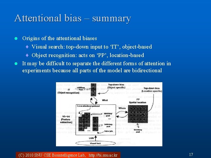 Attentional bias – summary Origins of the attentional biases ¨ Visual search: top-down input