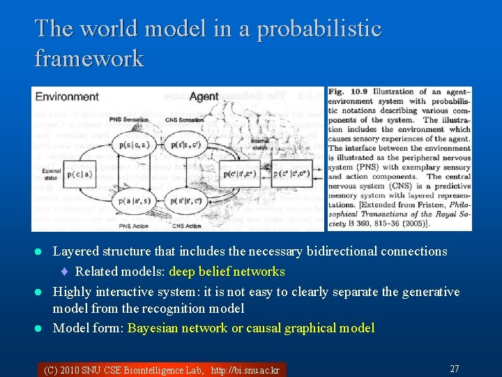 The world model in a probabilistic framework Layered structure that includes the necessary bidirectional
