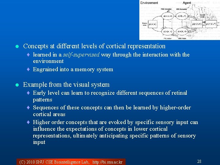 l Concepts at different levels of cortical representation ¨ learned in a self-supervised way