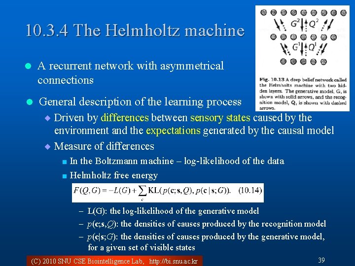 10. 3. 4 The Helmholtz machine l A recurrent network with asymmetrical connections l