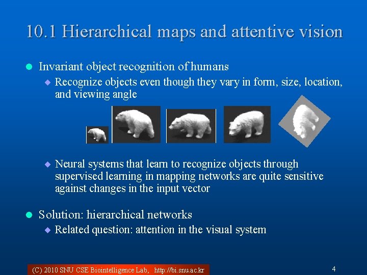 10. 1 Hierarchical maps and attentive vision l Invariant object recognition of humans ¨
