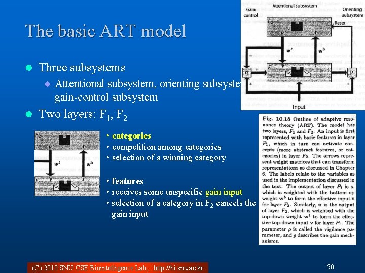 The basic ART model l Three subsystems ¨ Attentional subsystem, orienting subsystem, gain-control subsystem