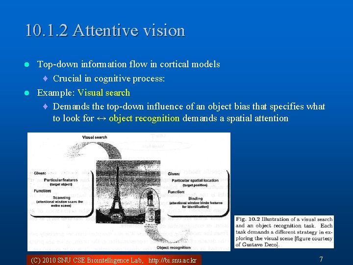10. 1. 2 Attentive vision Top-down information flow in cortical models ¨ Crucial in