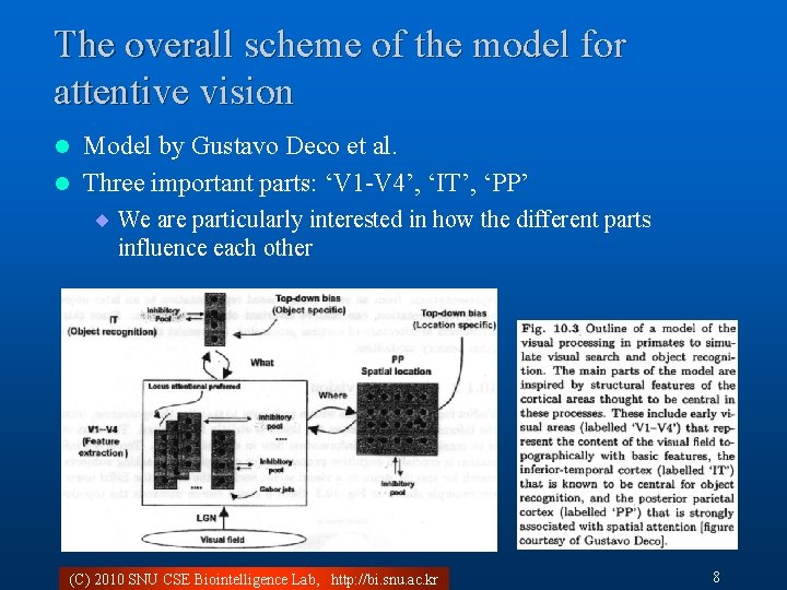 The overall scheme of the model for attentive vision Model by Gustavo Deco et