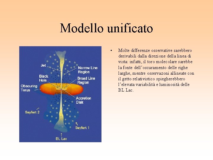 Modello unificato • Molte differenze osservative sarebbero derivabili dalla direzione della linea di vista: