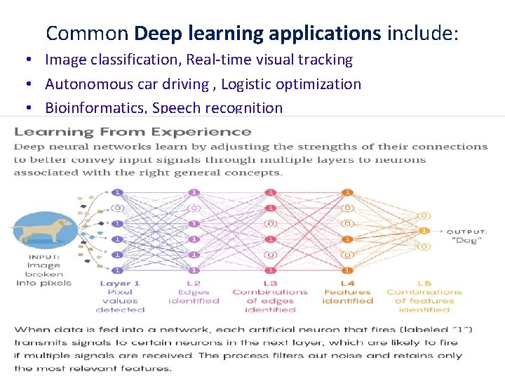 Common Deep learning applications include: • Image classification, Real-time visual tracking • Autonomous car