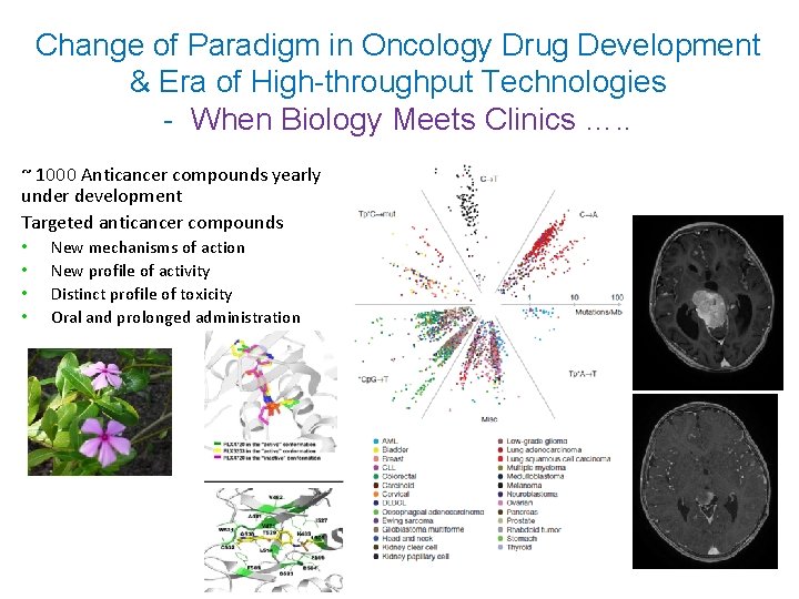 Change of Paradigm in Oncology Drug Development & Era of High-throughput Technologies - When