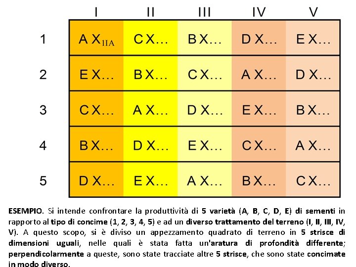 ESEMPIO. Si intende confrontare la produttività di 5 varietà (A, B, C, D, E)