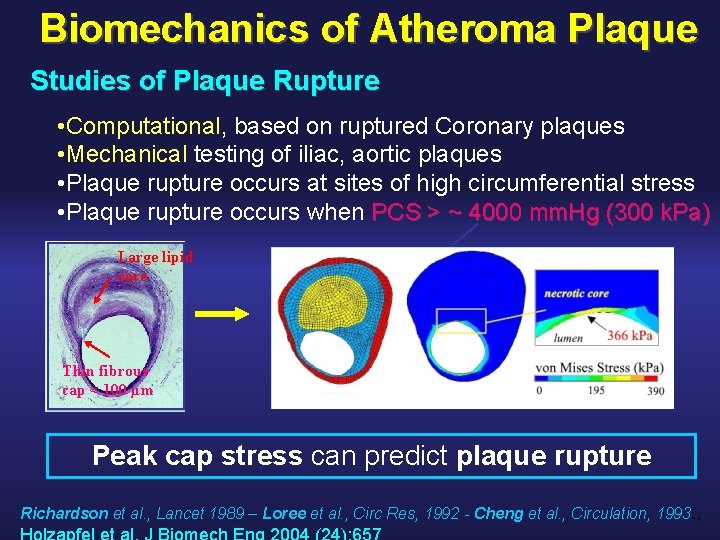 Biomechanics of Atheroma Plaque Studies of Plaque Rupture • Computational, based on ruptured Coronary