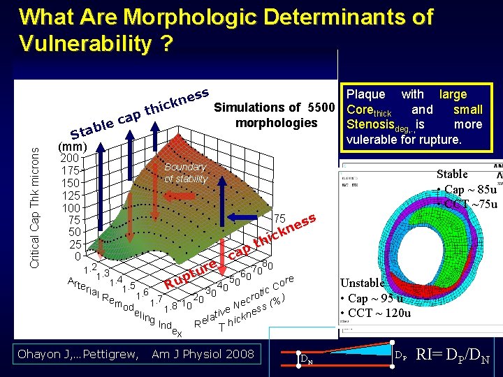 Critical Cap Thk microns What Are Morphologic Determinants of Vulnerability ? Plaque with large