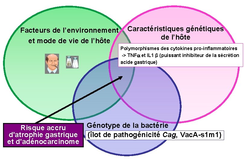Facteurs de l’environnement et mode de vie de l’hôte Caractéristiques génétiques de l’hôte Polymorphismes